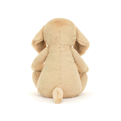 Bashful Luxe Puppy Orlando