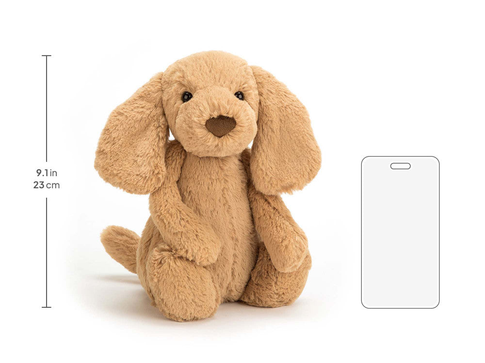 Bashful Toffee Puppy