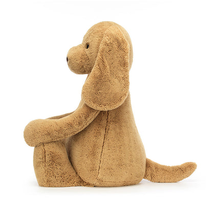 Bashful Toffee Puppy