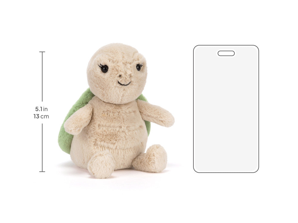 Thimble Turtle
